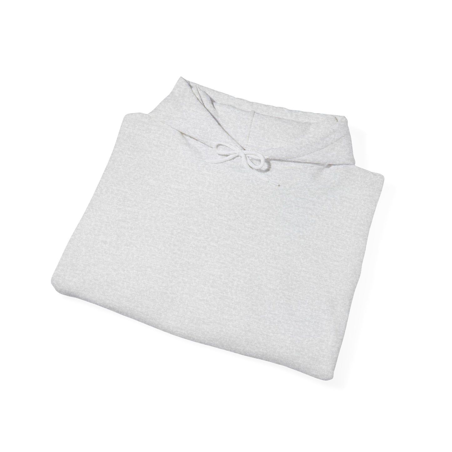 Hooded Sweatshirt BMW 320D Touring 2019