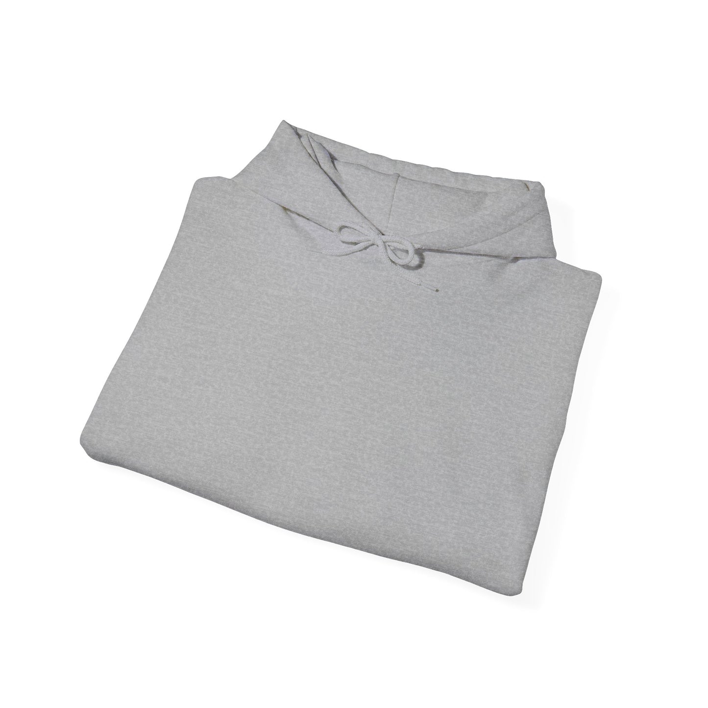 Hooded Sweatshirt BMW 320D Touring 2019